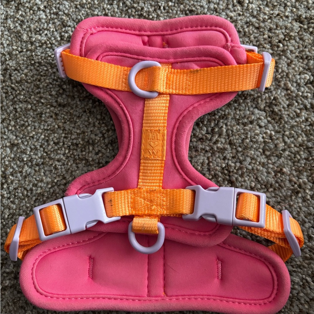 Wild One Harness -Isaac Mizrahi Cosmopolitan Pink